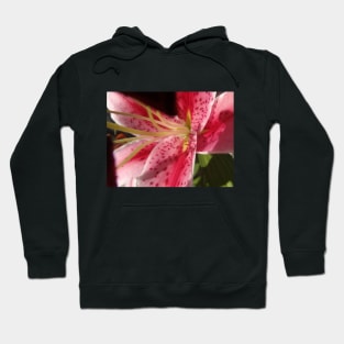 Beautiful photograph of lily flower Hoodie